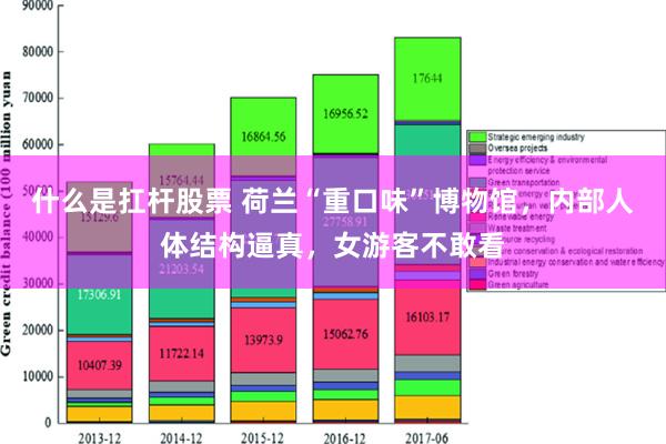 什么是扛杆股票 荷兰“重口味”博物馆，内部人体结构逼真，女游客不敢看