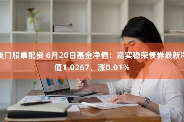 厦门股票配资 6月20日基金净值：嘉实稳荣债券最新净值1.0267，涨0.01%