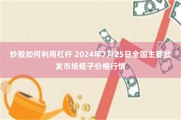 炒股如何利用杠杆 2024年7月25日全国主要批发市场蛏子价格行情