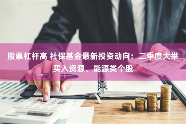 股票杠杆高 社保基金最新投资动向：二季度大举买入资源、能源类